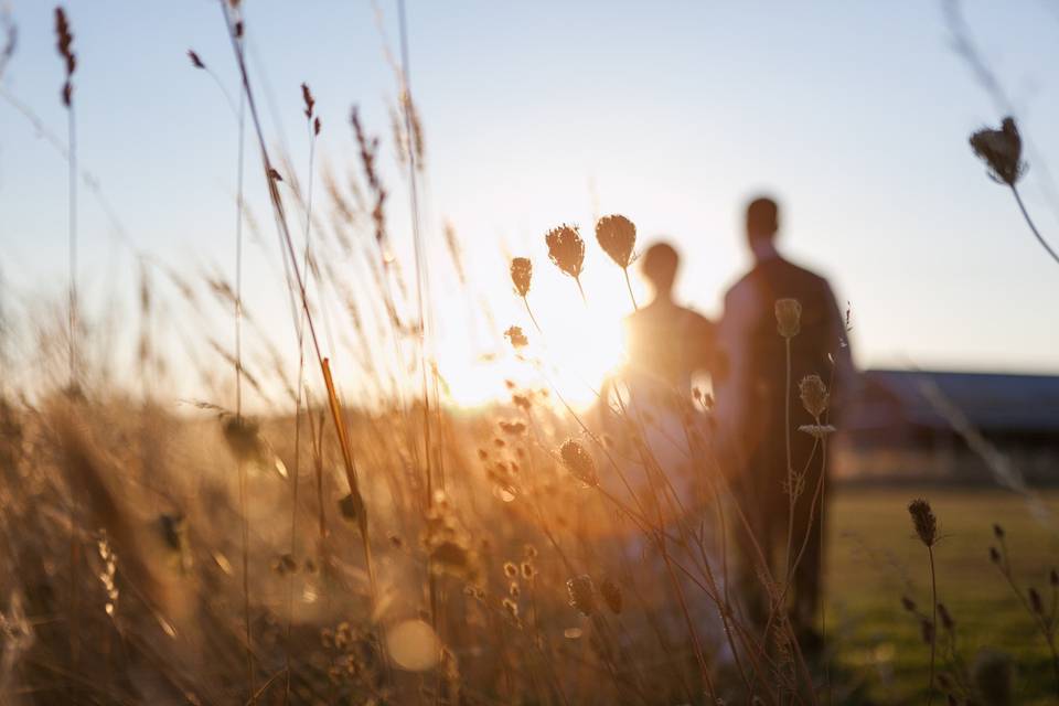 Couple + Meadow