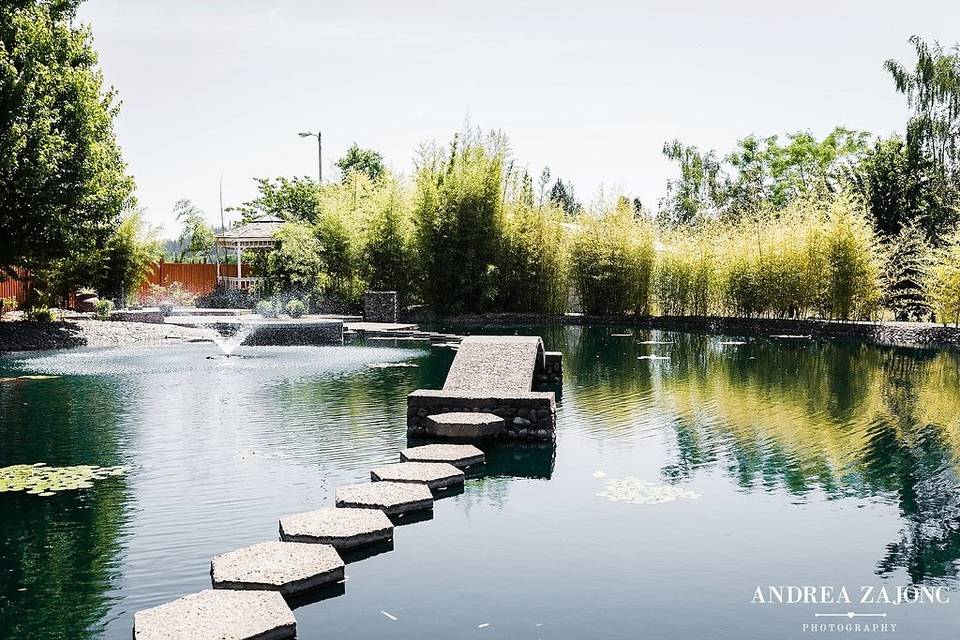 Bridge + Pond