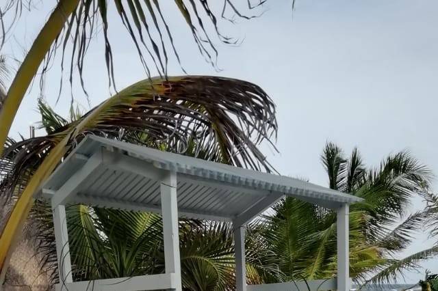 Coconut Cart