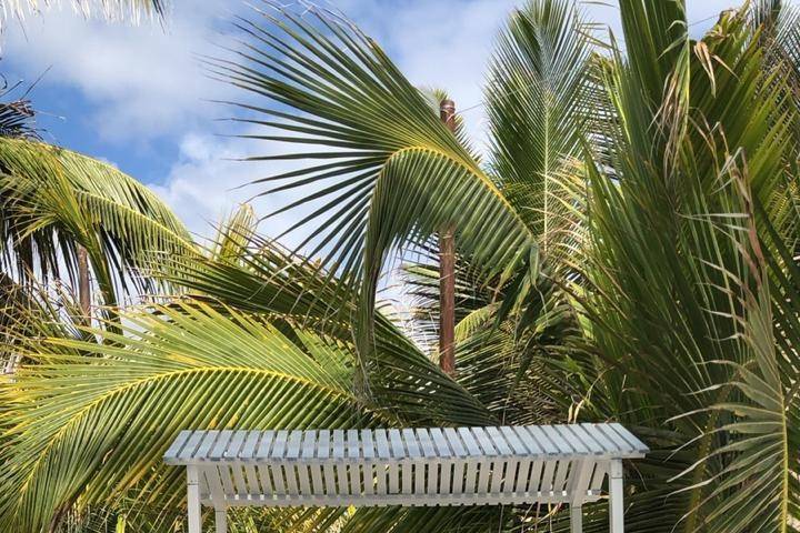 Akiin Beach Tulum