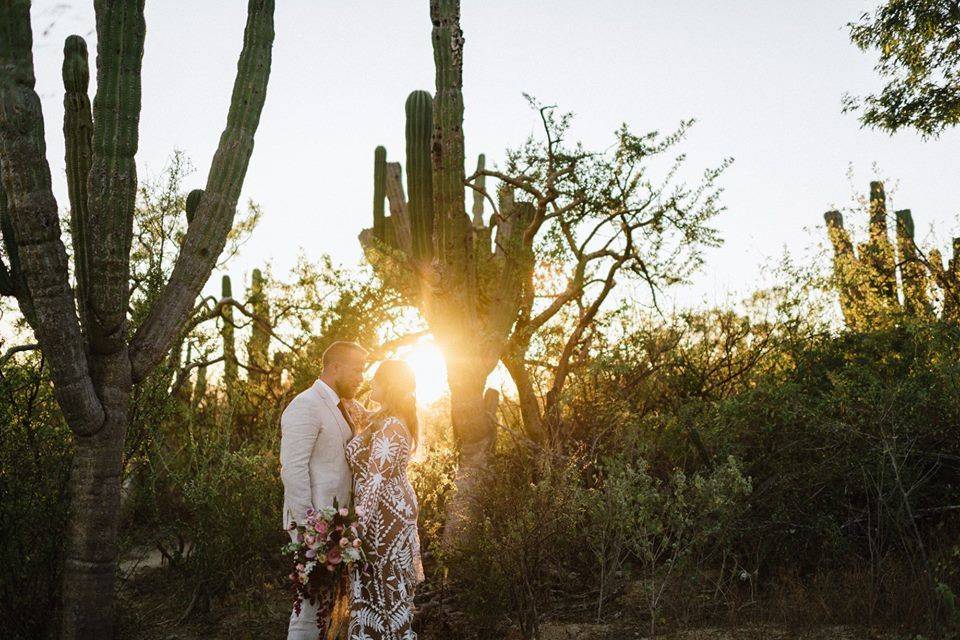 Cabo Wedding Sunset