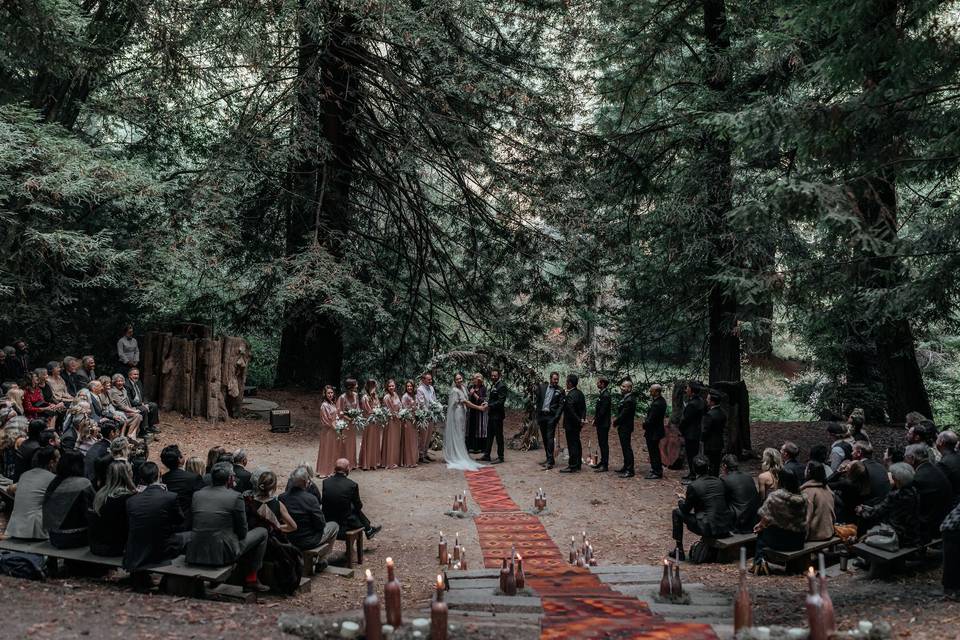 Redwoods Ceremony