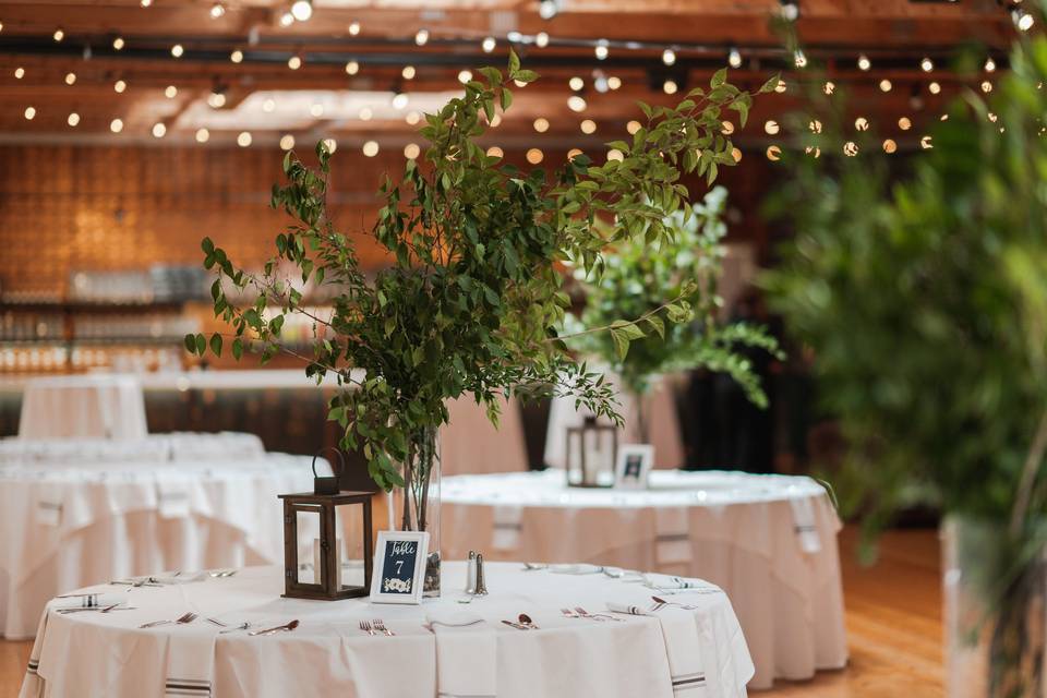The Meisbergers Photography and Videography