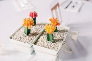 Mint Weddings and Events