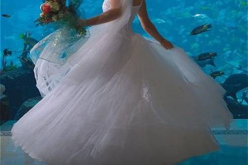 The Atlantis Bride