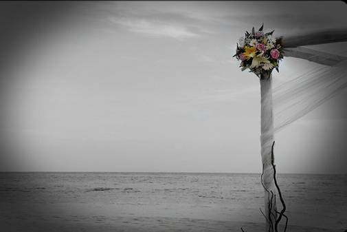 Jamaica Beach Wedding