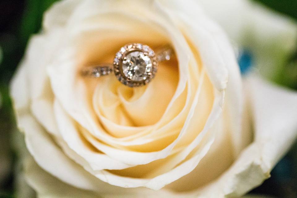 Becky Steffens Photography