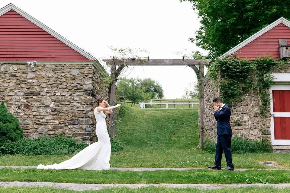 Bride & Groom First Look