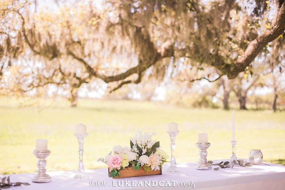 Long table setting