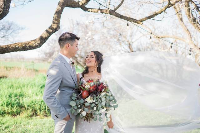 Shaun Trevino Photography