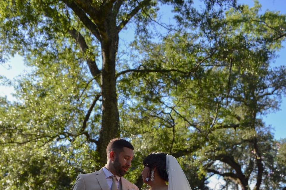 Wedding photos