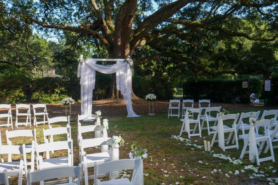 Wedding photos
