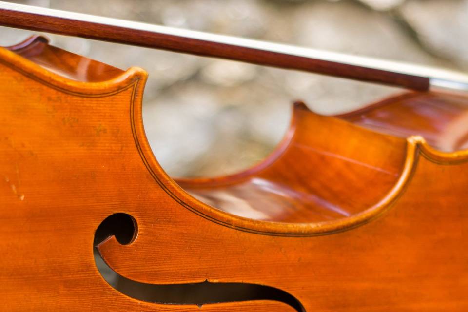 Cello