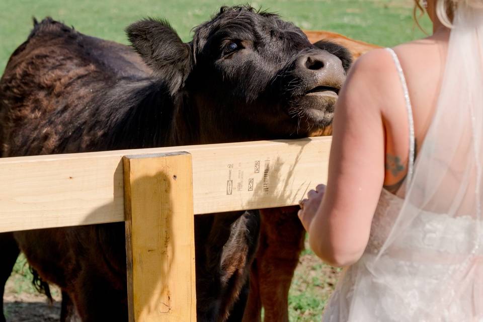 At The Barn LLC