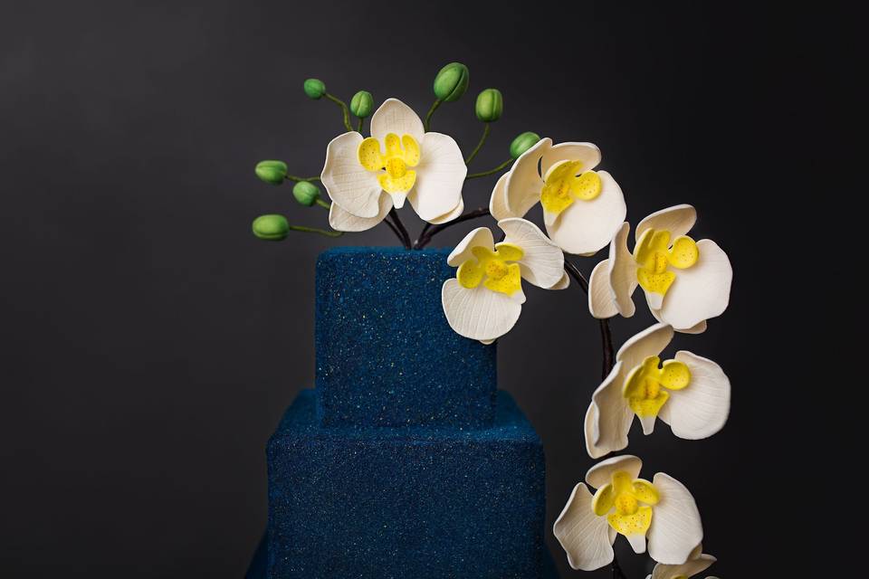 Velvet texture modern cake