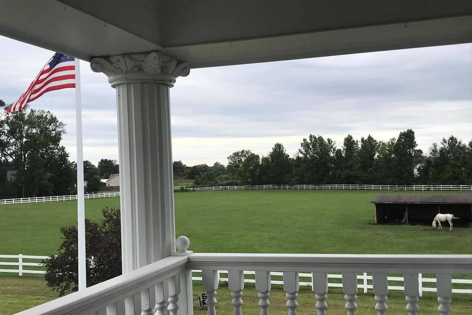 View of horses from porch