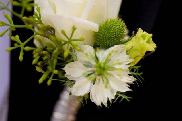 Stems Flower Design