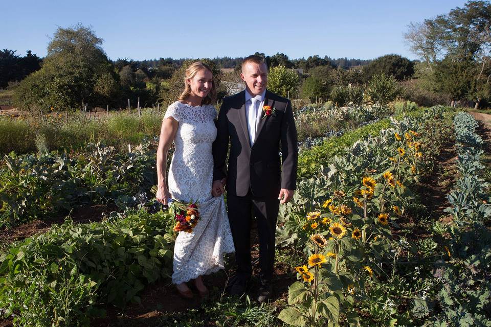 Wedding at the University of Santa Cruz Farm
