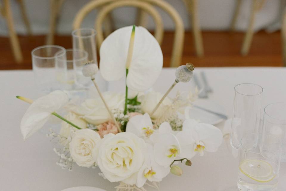 Rose and Orchid Centerpiece