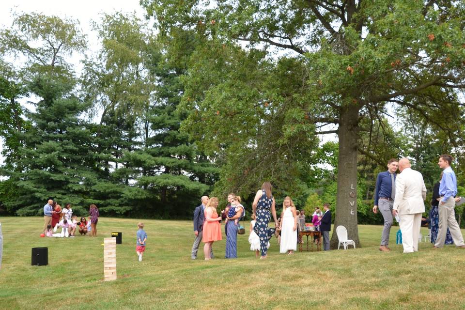 Guests entertain on the lawn