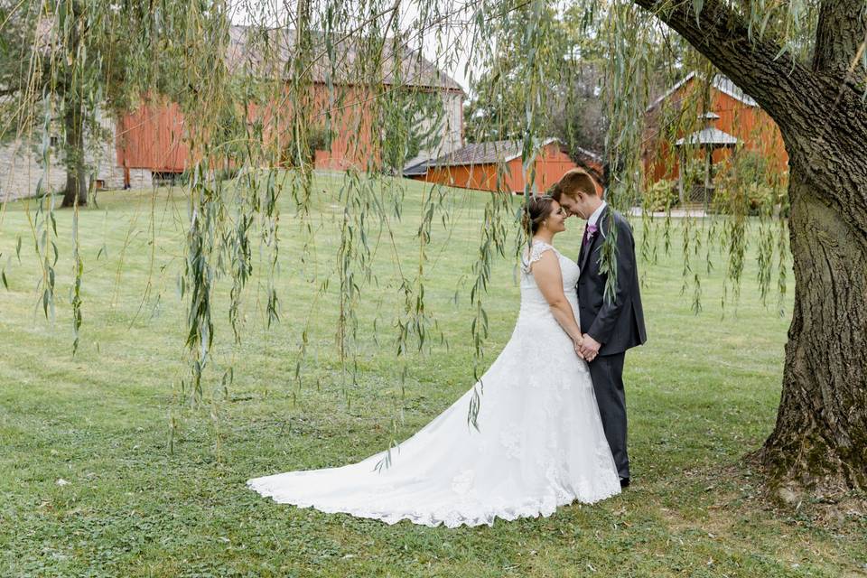 Under the willow tree
