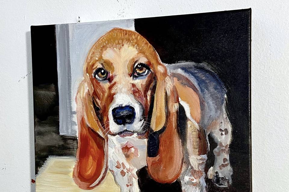 Basset hound commission