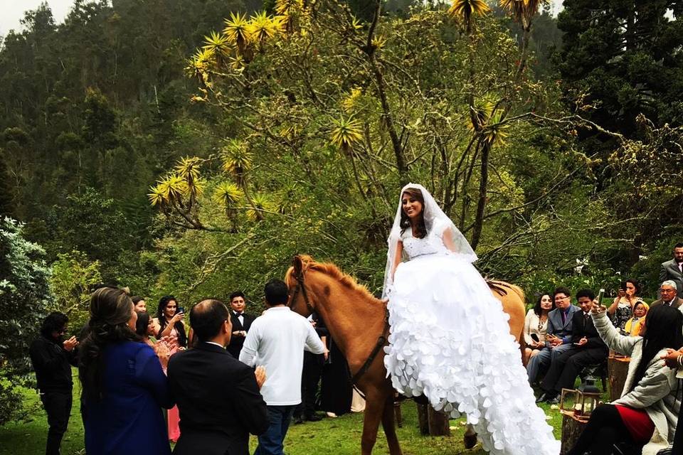 Bride riding a horse