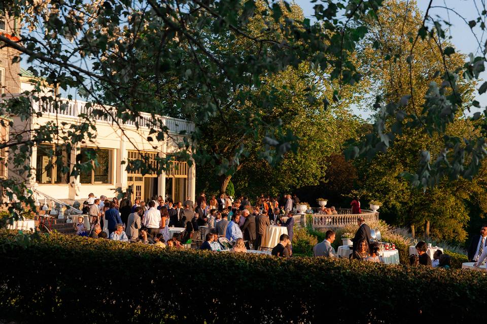 West Terrace Cocktails