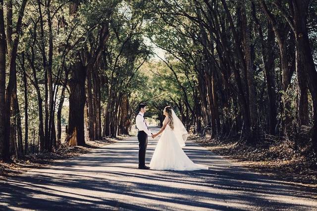 Love stands tall like trees