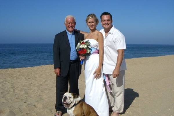 Tillman - Celeb English Bulldog