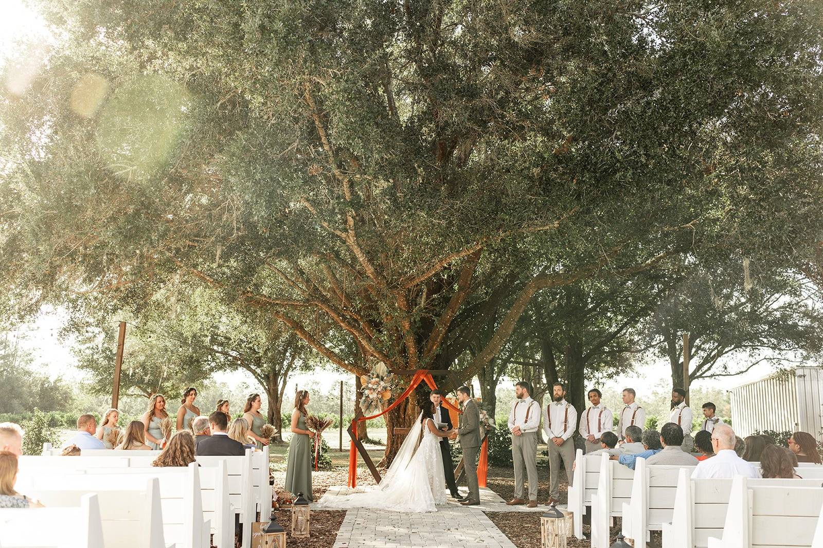 Ever After Farms Citrus - Barn & Farm Weddings - Polk City, FL