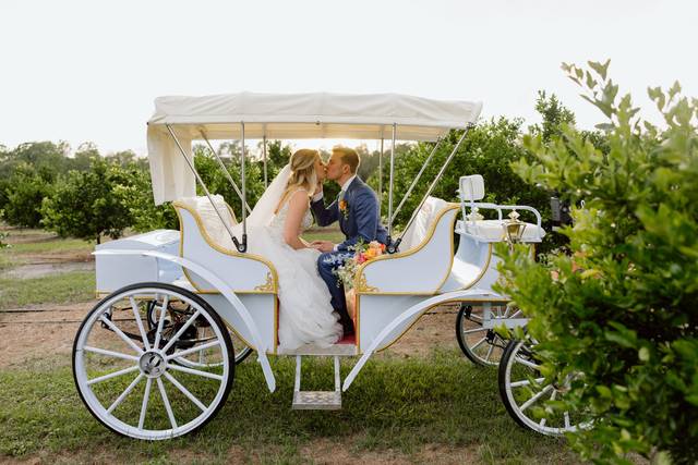 New Carriage