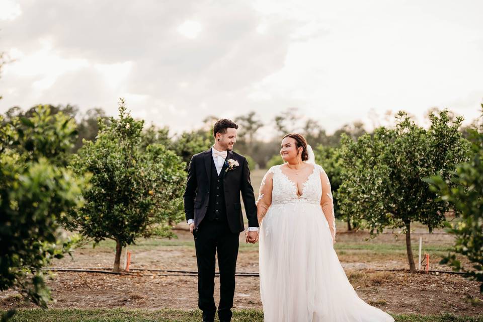 Citrus Grove