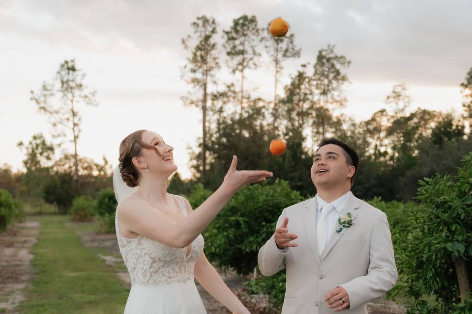 Citrus Groves