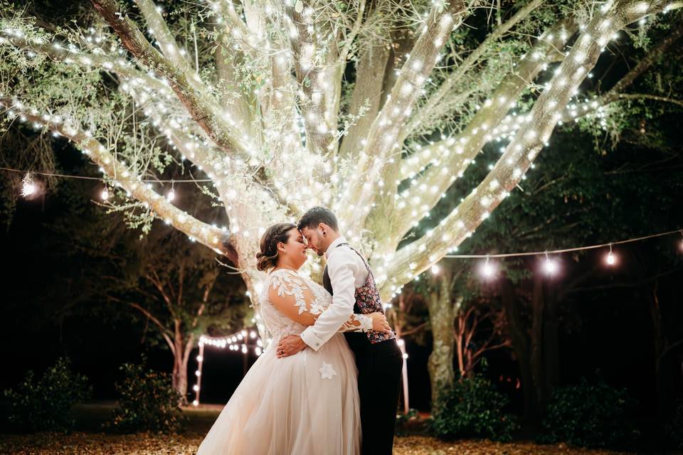 Oak Tree