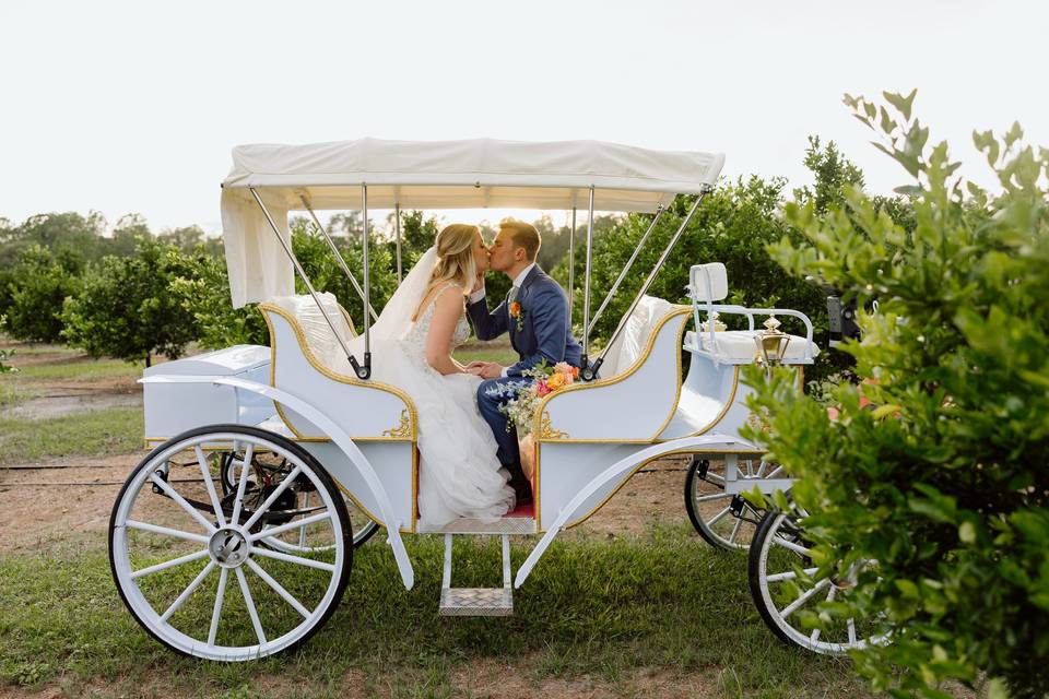 New Carriage