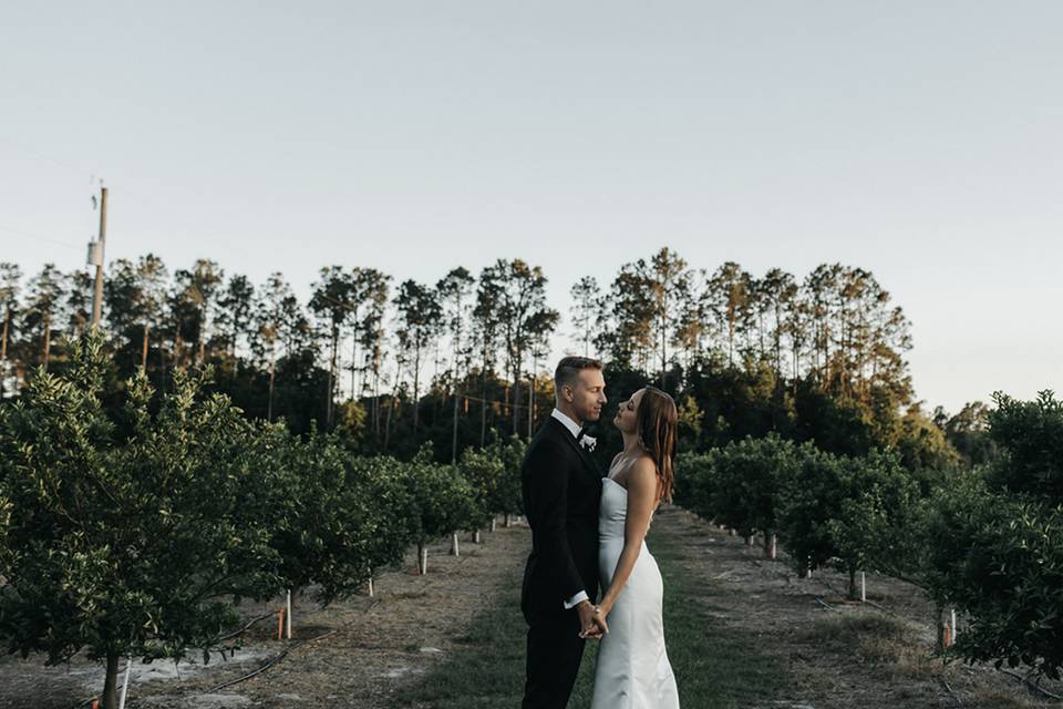 Citrus Groves