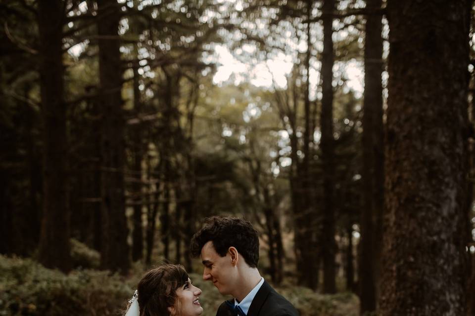 Beach Wedding