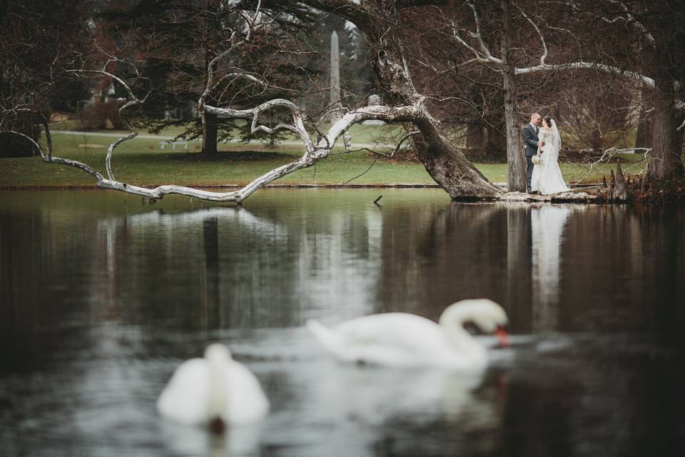 Scenic photoshoot - The Carrs Photography