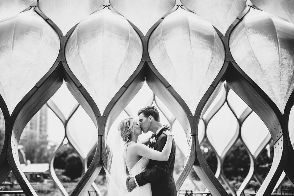 Striking designs - The Carrs Photography