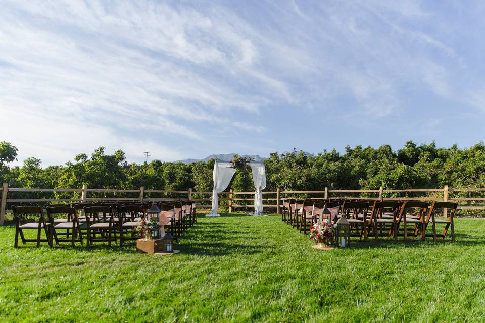 Ceremony in the meadow