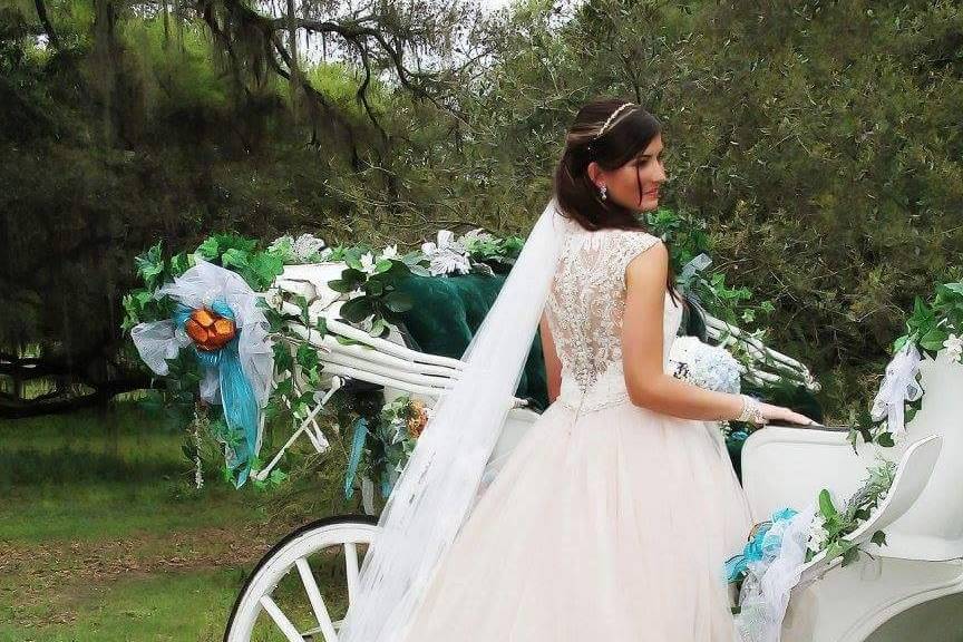 Gorgeous ball gown with beaded illusion back.