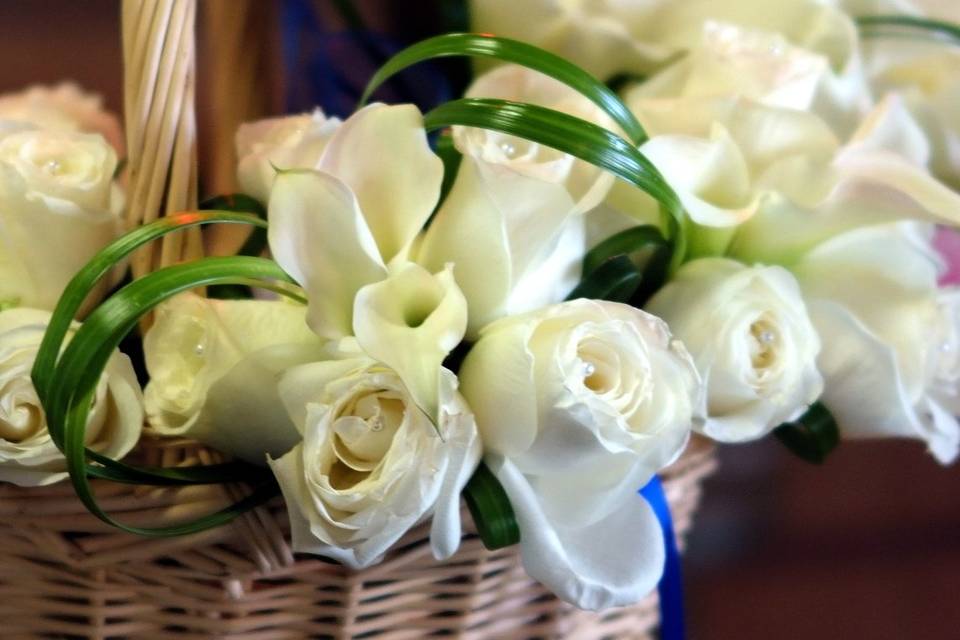 White roses