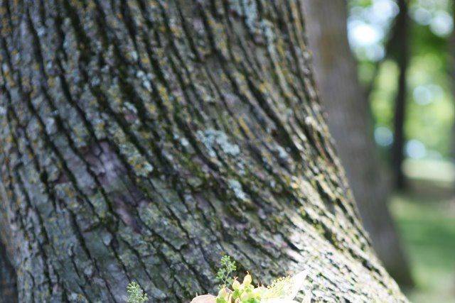 Bridal bouquet with succulents and pastels