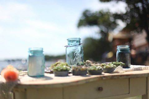 Unity sand table decorations with big succulents in old tim mason jar lids