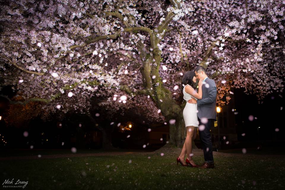 Nick Leung Photography