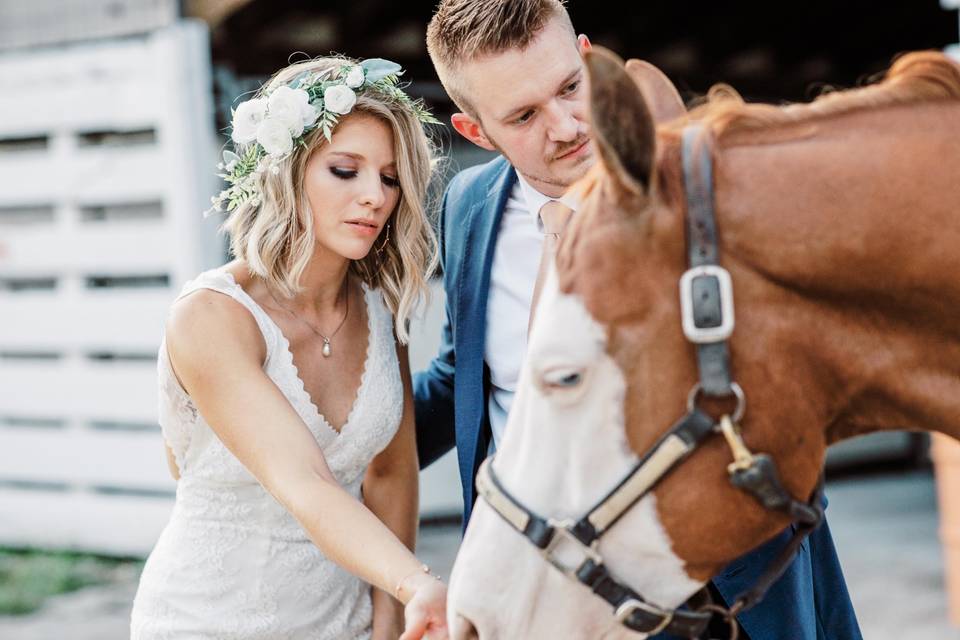 Horse visiting the couple