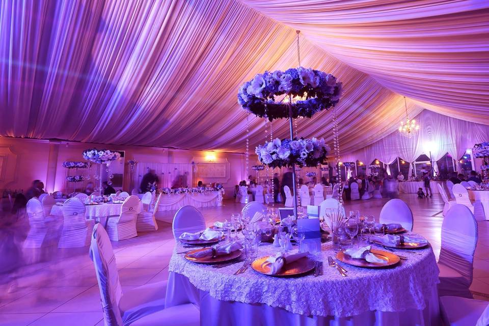 Gorgeous reception