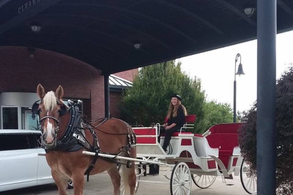 The Horse Lady