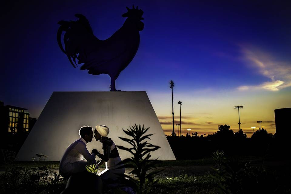 Rooster silhoutte